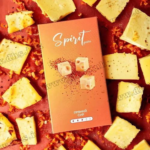 Табак Spirit (Спирит) Gastro - Пряный Сыр 40г